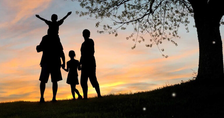 Read more about the article How Sanctuary Estates Combines Nature and Modern Living